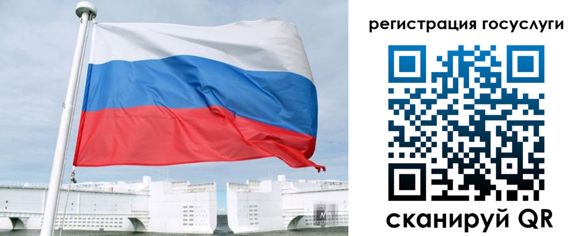 временная регистрация поиск в Свободном